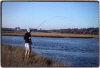Estuary Fishing